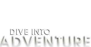 Watkins Glen Helicopter Shuttle